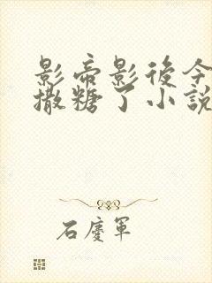 影帝影后今天又撒糖了小说全文免费阅读