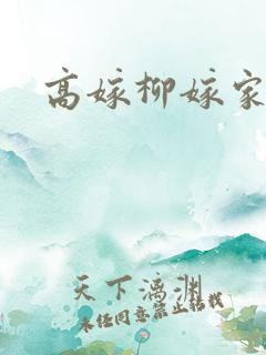 高嫁柳嫁家2集
