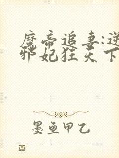 魔帝追妻:逆天邪妃狂天下