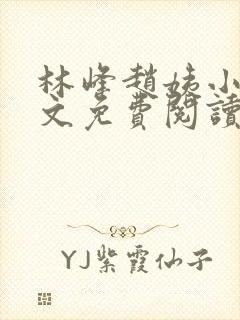 林峰赵姨小说全文免费阅读