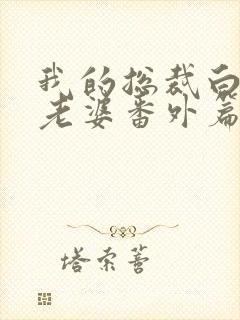 我的总裁白富美老婆番外篇