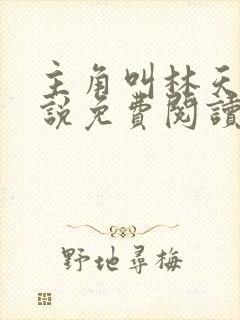主角叫林天的小说免费阅读