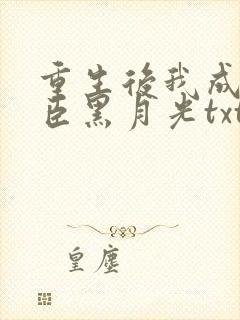重生后我成了奸臣黑月光txt