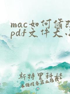 mac如何修改pdf文件大小