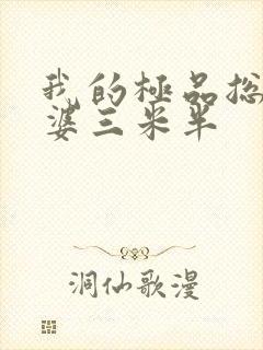 我的极品总裁老婆三米半