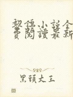 黎锦小说全文免费阅读最新章节