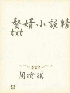 赘婿小说精校版txt