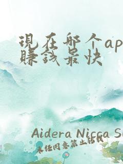 现在哪个app赚钱最快