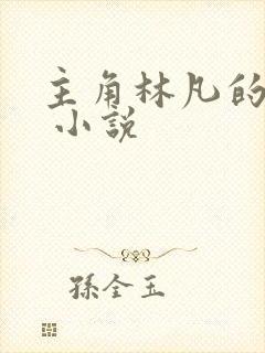 主角林凡的小说 小说