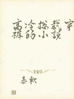 高冷总裁穿纸尿裤的小说