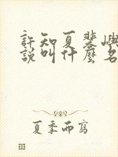 许知夏裴屿安小说叫什么名字