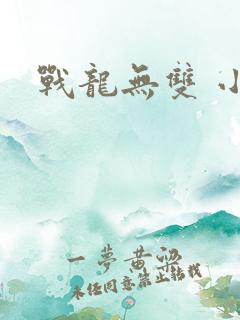 战龙无双 小说