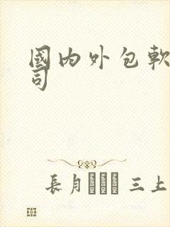 国内外包软件公司