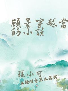 顾晨穿越当律师的小说