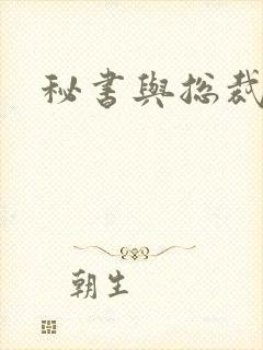 秘书与总裁小说