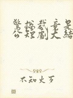惊总裁竟是我老公短剧大结局