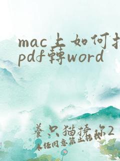 mac上如何把pdf转word