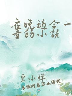 夜晚适合一个人看的小说