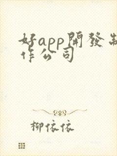 好app开发制作公司