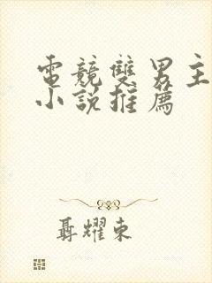 电竞双男主冷门小说推荐