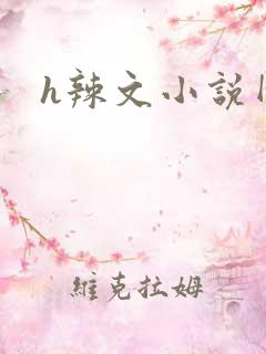 h辣文小说网