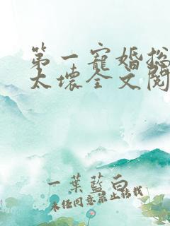 第一宠婚总裁别太坏全文阅读免费阅读
