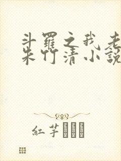 斗罗之我老婆是朱竹清小说