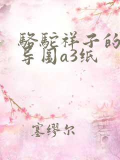 骆驼祥子的思维导图a3纸