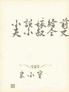 小说嫁给前未婚夫小叔全文阅读