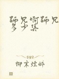 师兄啊师兄总共多少集