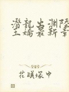 潜龙出渊陆川沈玉娇最新章节免费阅读下载