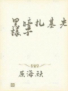 黑暗扎基光明的样子