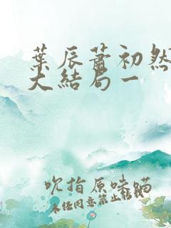 叶辰萧初然完结大结局一