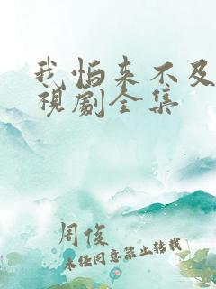 我怕来不及了电视剧全集