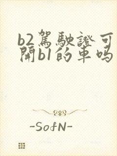 b2驾驶证可以开b1的车吗