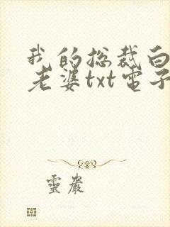 我的总裁白富美老婆txt电子版