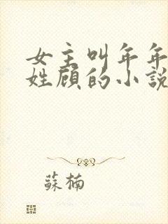 女主叫年年男主姓顾的小说