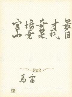 官场奇才最强靠山竟是我自己李澜小说叫什