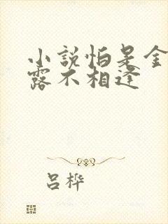 小说怕是金风玉露不相逢