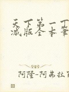 天下第一丁无删减版全本笔趣阁