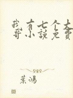 我有七个大佬哥哥小说免费看