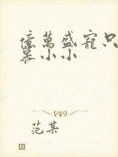 亿万盛宠只为你慕小小