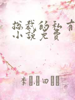 总裁的私有宝贝小说免费
