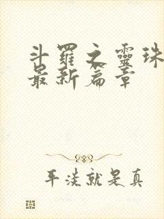 斗罗之灵珠神剑最新篇章