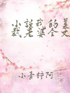 小说我的美女总裁老婆全文在线阅读