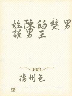 姓陈的双男主小说男主