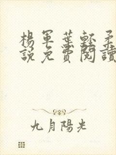 杨军叶轻柔的小说免费阅读无弹窗