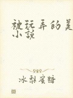 被玩弄的美人儿小说
