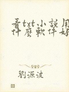 看txt小说用什么软件好