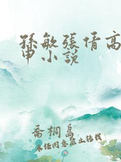 孙敏张倩高义王申小说